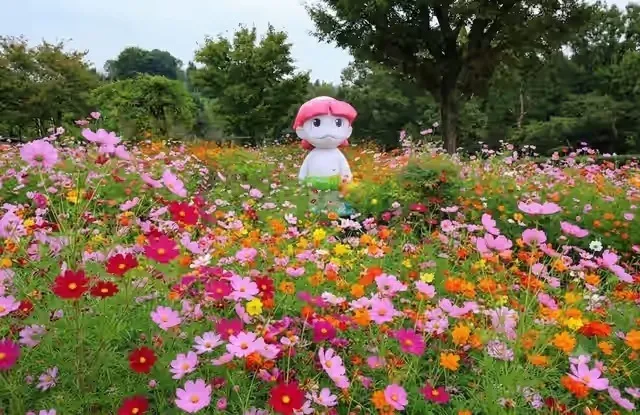 コスモス畑にたたずむ公式キャラクター「かっぴぃ」