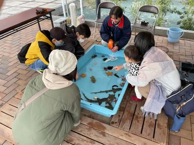 タッチングプール