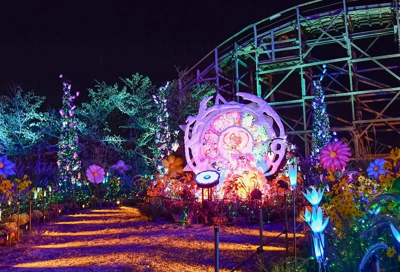 30thノームのフラワーガーデン(過去の様子)