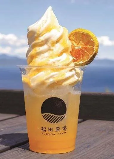 熊本<福田農場>デコポン(R)クリームソーダ 1個990円