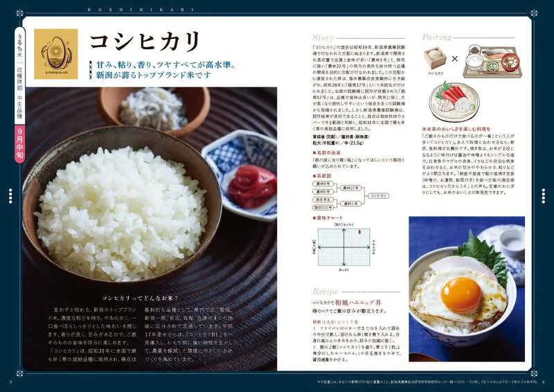 新潟県産コシヒカリ