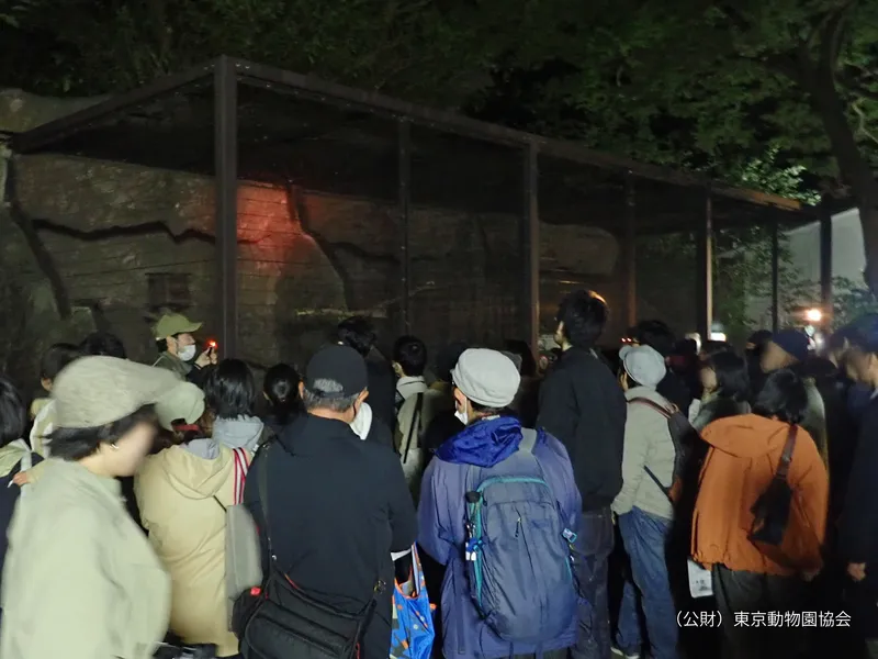 飼育係のいきものガイド・夜編