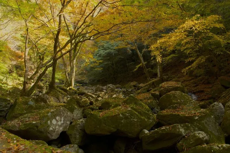 赤目四十八滝の紅葉