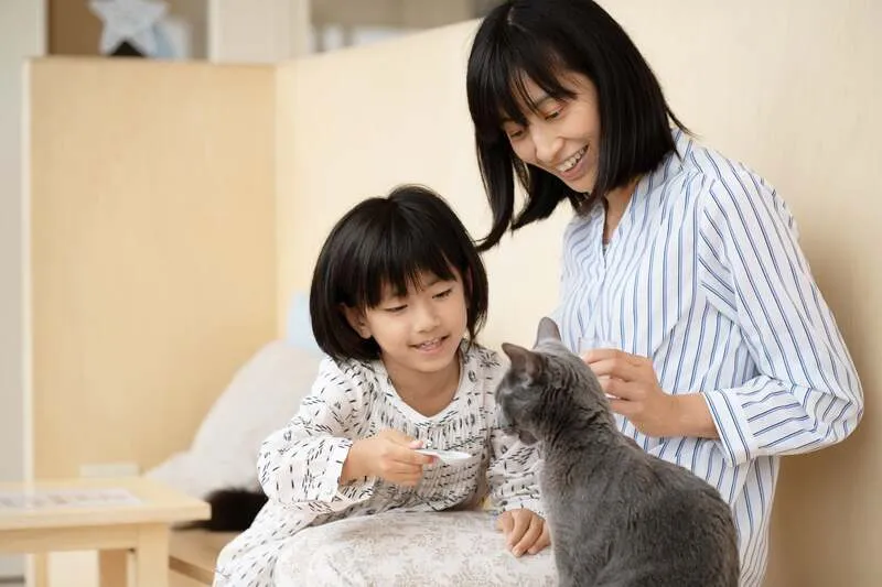 Cat Cafe MOFF