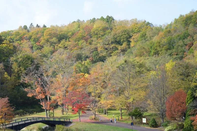 パークブリッジ周辺(渓流ゾーン)の紅葉状況 撮影日:2026.10.11