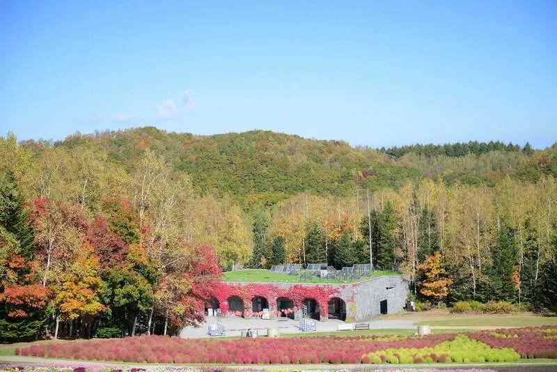 中央口周辺(中心ゾーン)の紅葉状況 撮影日:2026.10.11