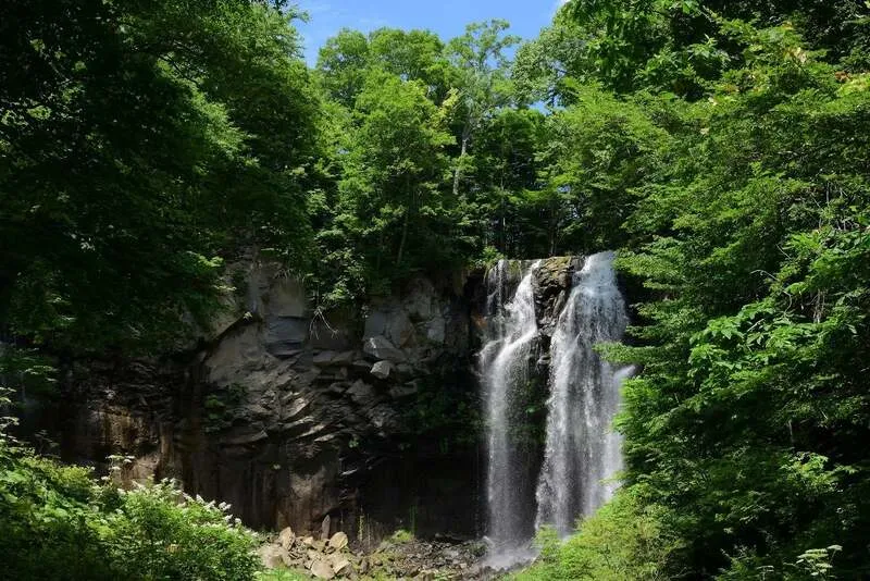 初夏の風景