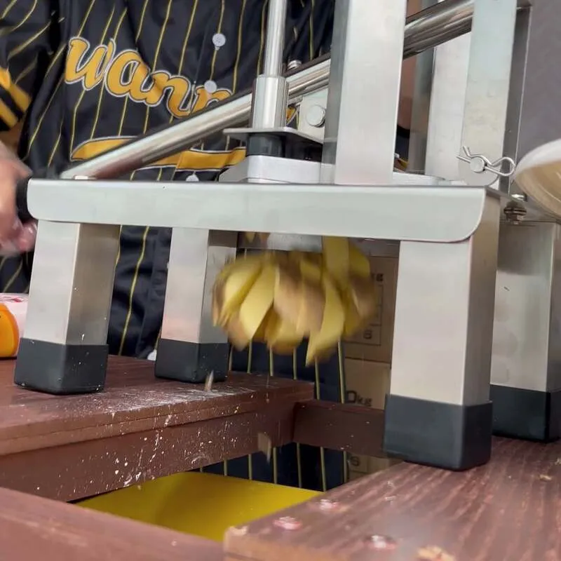 ベルギーポテト屋さん体験