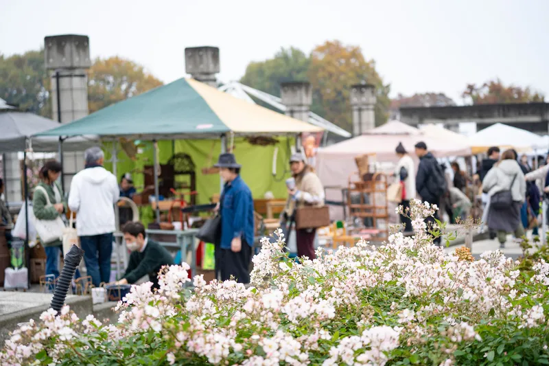 掘り出し物を探すのが楽しい「古花市」