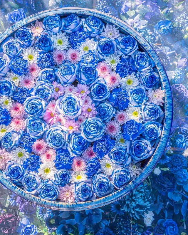 光の花手水