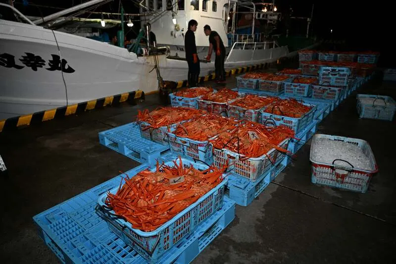 高い鮮度と品質を守るため、漁船から水産物荷さばき施設「魚津おさかなランド」にすぐ移されます。