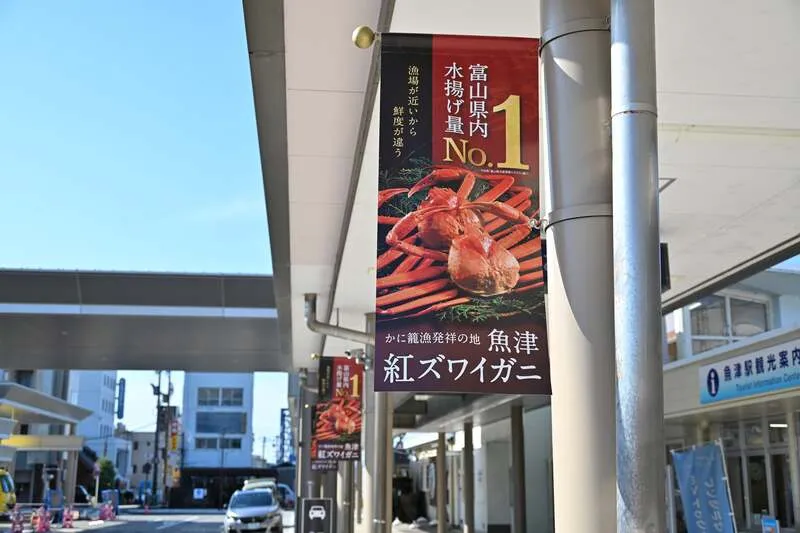 魚津港の紅ズワイガニの水揚げ量は県内1位