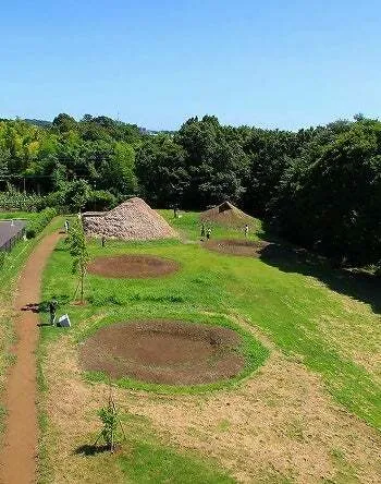 史跡勝坂遺跡公園の様子