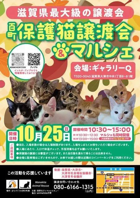 百町保護猫譲渡会&マルシェ