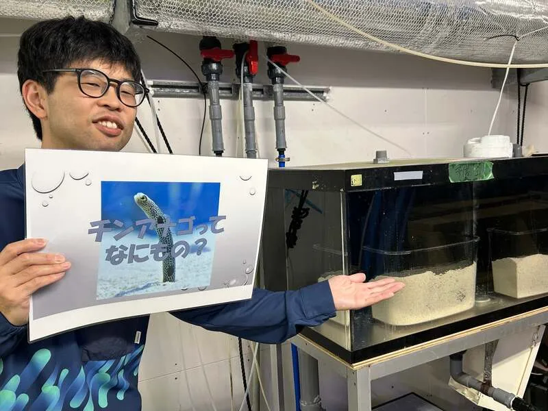 バックヤードの様子