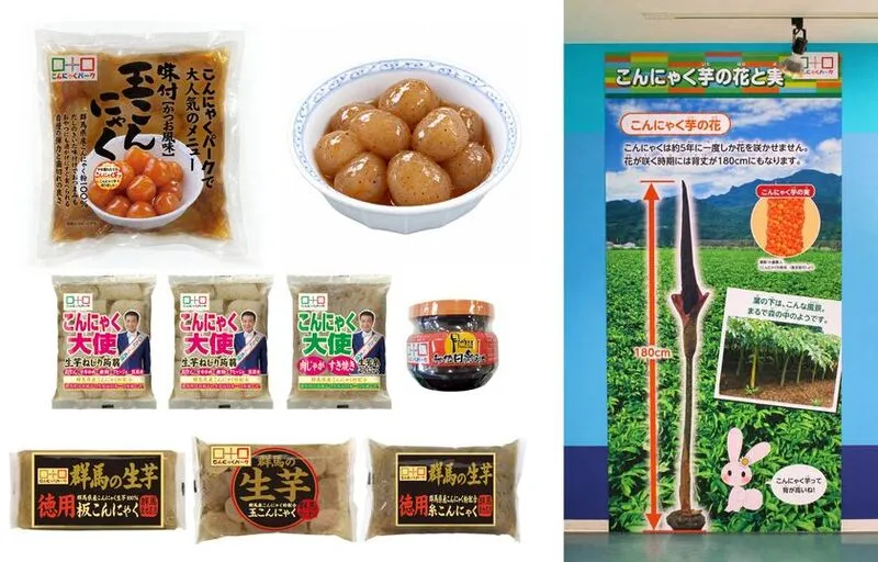 鰹だし味付け生芋玉こんにゃく(新芋)、生芋玉こんにゃくの煮物、2026新芋祭り限定セット、コンニャクイモパネル