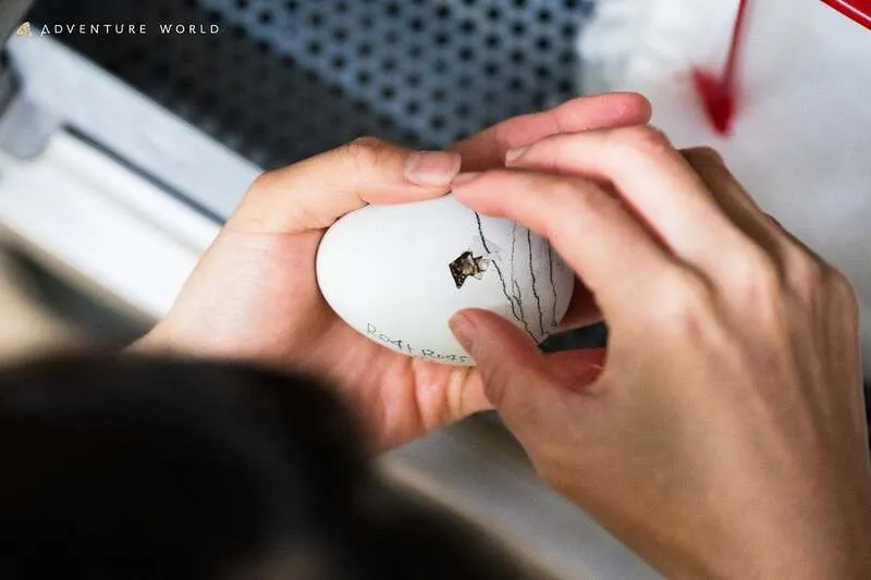 人工授精による受精の可能性を秘めた卵