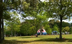 「【愛知】アスレチックがある人気の公園11選！　超ロングすべり台も」の写真