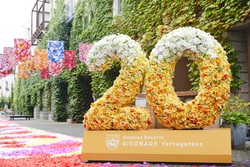 「春の訪れを彩る旅！星野リゾート「花咲くリゾナーレ 2024」で特別な体験を」の写真