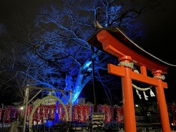 「秩父今宮神社」ライトアップの様子
