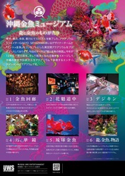 「イオンモール沖縄ライカムに「沖縄金魚ミュージアム〜龍と金魚のものがたり」がOPEN！」の写真