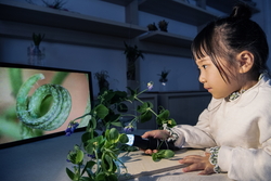 マイクロスコープを使って細部を見る様子