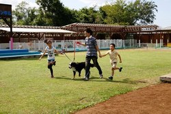 「犬とふれあえる関東の動物園＆テーマパーク5選！」の写真