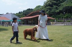 「犬とふれあえる関東の動物園＆テーマパーク5選！」の写真