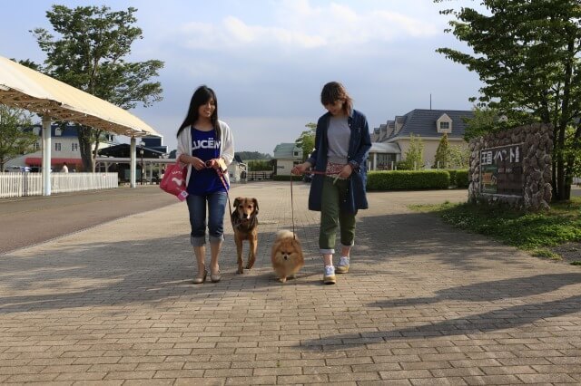 犬とふれあえる関東の動物園＆テーマパーク5選！の5枚目の写真