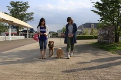 「犬とふれあえる関東の動物園＆テーマパーク5選！」の写真