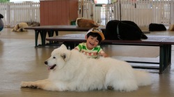 「犬とふれあえる関東の動物園＆テーマパーク5選！」の写真