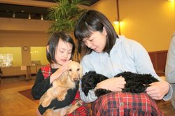 「犬とふれあえる関東の動物園＆テーマパーク5選！」の写真