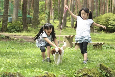 犬とふれあえる関東の動物園＆テーマパーク5選！の10枚目の写真