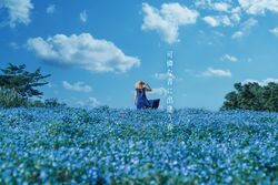 「【関東】2024年GWにおすすめ花まつり＆花イベント13選！親子向け厳選」の写真