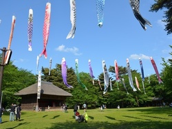 「【関東】2024年GW！5月3日・4日・5日・6日おすすめイベント20選」の写真