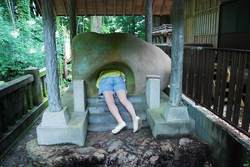 「3泊4日のおすすめ高知観光１：地元グルメと鰹と大自然を満喫」の写真