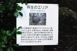 「3泊4日のおすすめ高知観光１：地元グルメと鰹と大自然を満喫」の写真