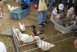 「練馬区「大泉学園駅」北口でアニメの祭典！　キャラクターショーやワークショップも」の写真
