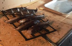 「3泊4日のおすすめ高知観光１：地元グルメと鰹と大自然を満喫」の写真