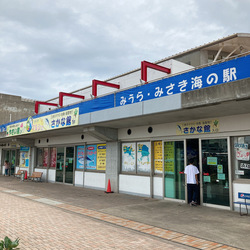 「【横須賀周辺】6月1日・2日の今週末のおでかけにおすすめ！人気のスポットランキング」の写真