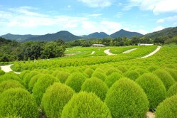「関西・中国・四国から親子で行く！夏の注目スポット5選（PR）」の写真