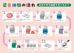 「細胞の世界を体感！「細胞診体験ワークショップ」が港区で開催　参加無料＆自由研究に」の写真