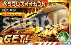 「角川の集める図鑑GET！ 昆虫」カード（全12種ランダム配布）