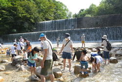「長野県「国営アルプスあづみの公園」で夏のずぶぬれイベント　川遊び＆巨大プール登場」の写真