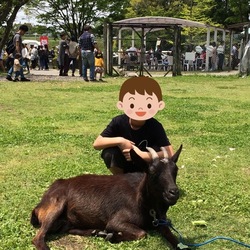 「【えびの周辺】7月13日～15日の三連休おでかけにおすすめ！人気のスポットランキング」の写真