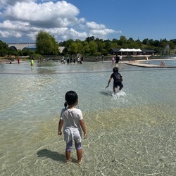 「【長岡周辺】7月20日・21日の今週末のおでかけにおすすめ！人気のスポットランキング」の写真