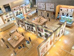 「【関東近郊】2024年夏休みにおすすめの昆虫展＆イベント12選 ふれあい体験も！」の写真