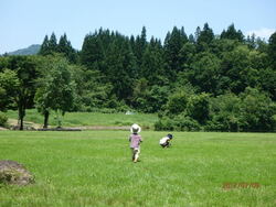 「【新潟】2024年夏休みにおすすめの涼しく過ごせる遊び場＆スポット5選」の写真
