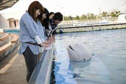 「【横浜周辺】2024年夏休みのおでかけにおすすめ！人気のスポットランキング」の写真