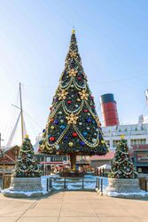 東京ディズニーシーでは、今年もアメリカンウォーターフロントに高さ約15mの大きなクリスマスツリーが登場